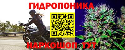 бошки Краснокаменск
