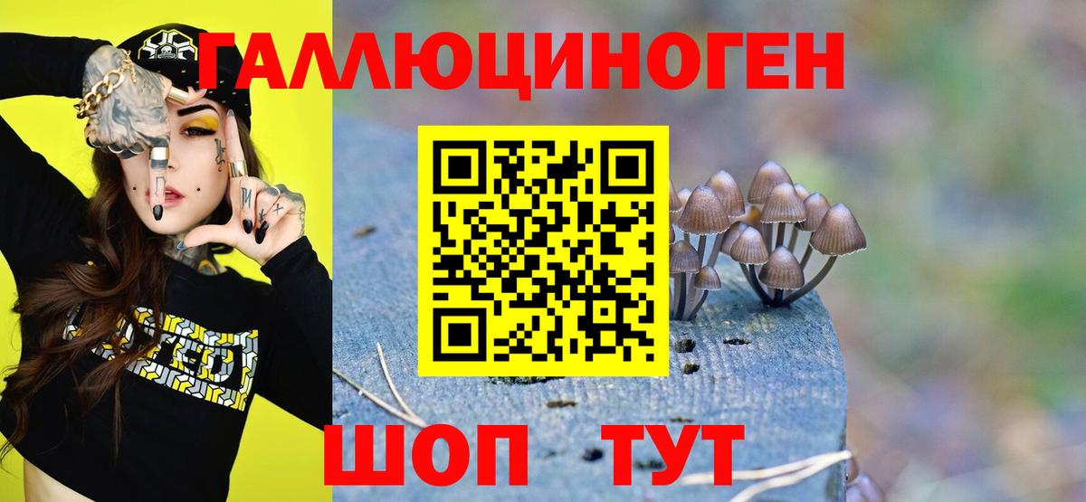 купить закладку  Галлюциногенные грибы ЛСД  Вход с VPN  Волжский 