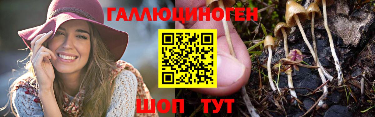 Галлюциногенные грибы ЛСД Волжский